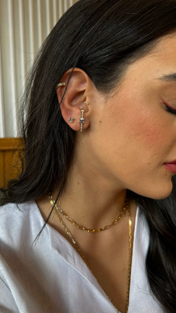 Brinco Earhook